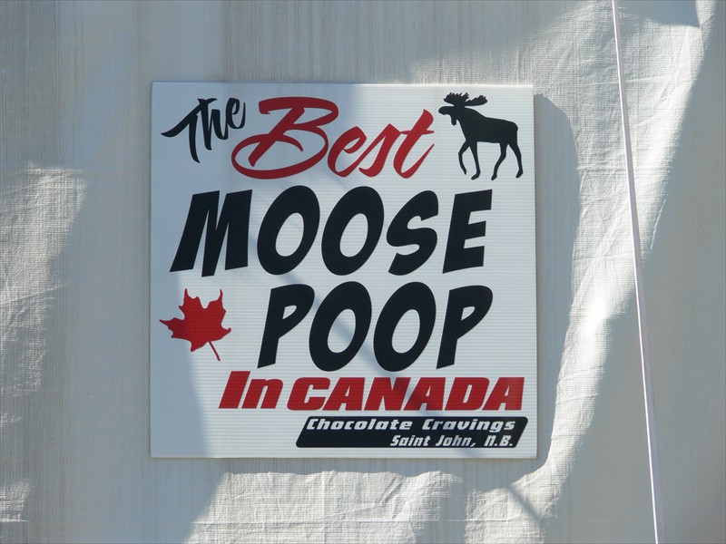 Moose poop